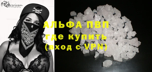 сатива Ельня