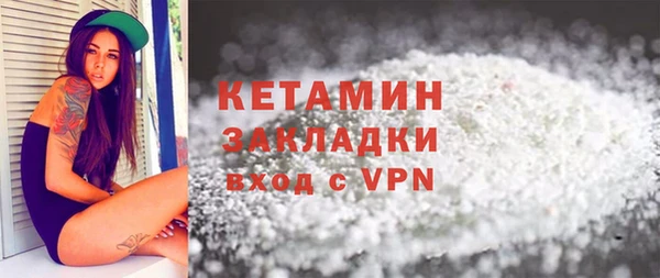 сатива Ельня