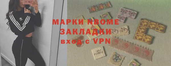 сатива Ельня