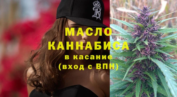 сатива Ельня