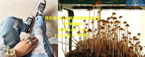 спайс Заводоуковск