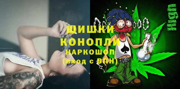 сатива Ельня