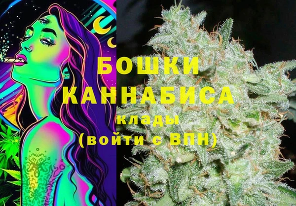 сатива Ельня