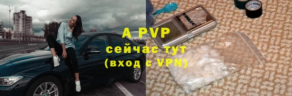 гидра Заволжье