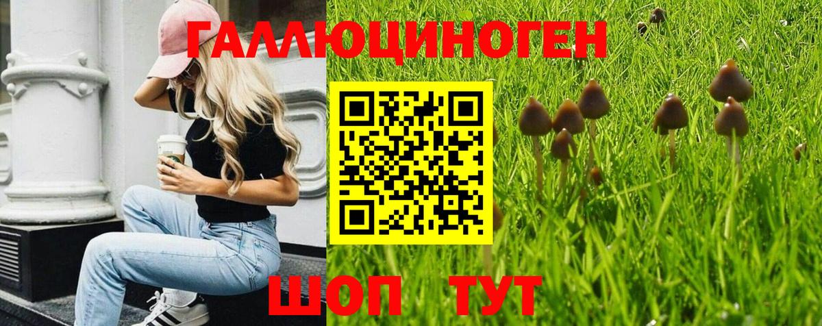 Галлюциногенные грибы прущие грибы Нижневартовск
