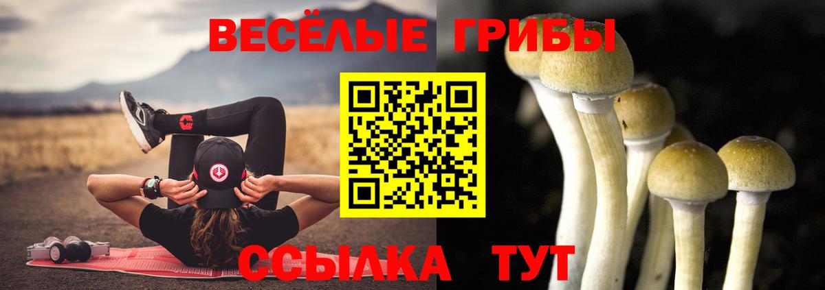 Нижневартовск  Псилоцибиновые грибы MAGIC MUSHROOMS  Вход с VPN 